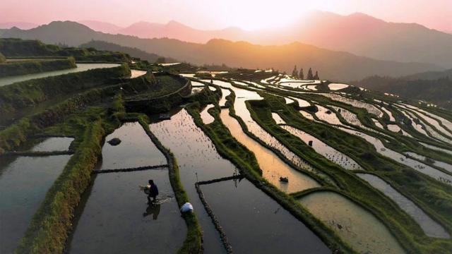 8a9d493b6053690173ab795f415c626e