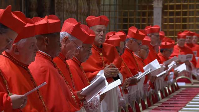 Папа выборы. Конклав начался, но первое голосование дало черный дым 1 53f90d4f39857d9d9eb4a32652847052