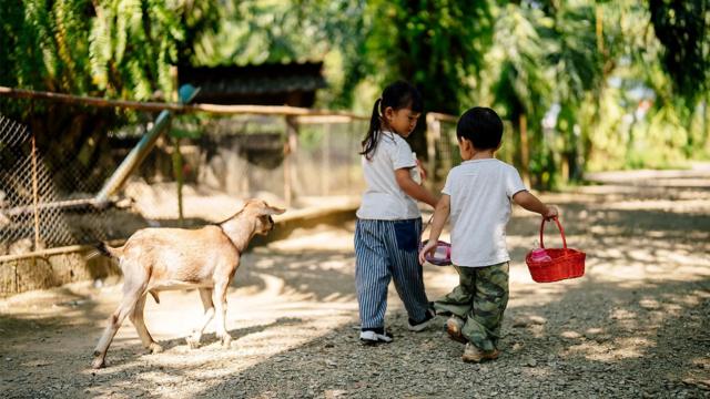 b5d2ac291c6489ed7d966c72940e8faf