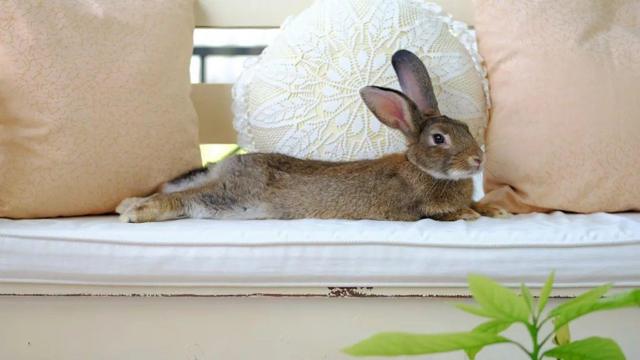 7b88cb89522ce44c2e1c079a647a57b4