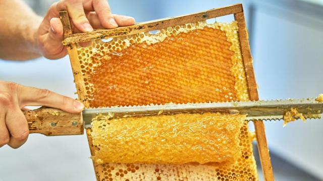 537cbe22dce3bb85d8f9a86000e9c572