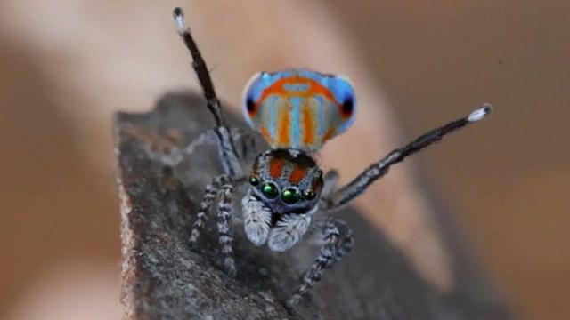 Темная ДНК: что это такое и какие тайны жизни она скрывает 1 127f804561eb5f5d74dd6ee7908462bb