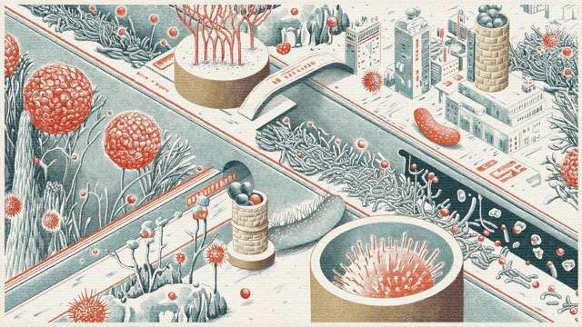 a42aa560f24c2dcef03f209848f5adbc