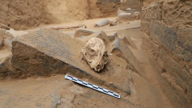 37c3814e0e5977ef64aeaa6cefbe6573