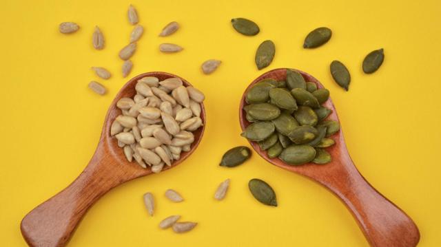 566e348cd7cf3854f55e04d6dc88eedc