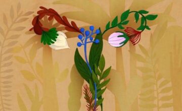 85872ba2efd23ec484dccde5b3daccdd