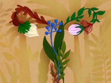 85872ba2efd23ec484dccde5b3daccdd