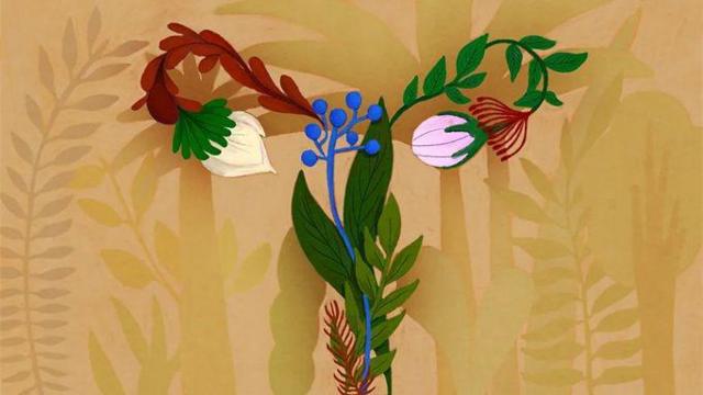 85872ba2efd23ec484dccde5b3daccdd