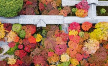 8e0c82e0208e5dd986c116559bf2cce4