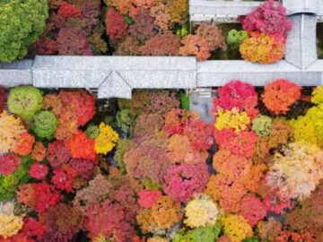 8e0c82e0208e5dd986c116559bf2cce4