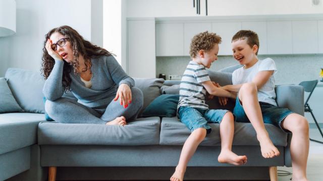 a724cc030d2045a799a73edca47f8888