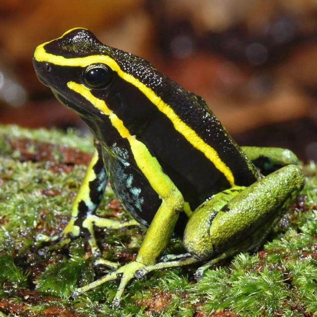 ad6e1c87140507a9112a628275f6b78b