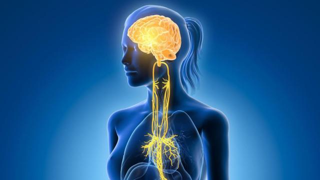 db2b7b5c3650121ed97ec11a488f3555