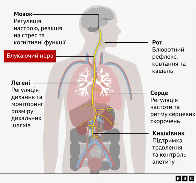 e79e8af58f47a7d237f3c56146b8d2d8