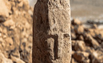 13868c610bfda729ba1b1aa25f24ce33