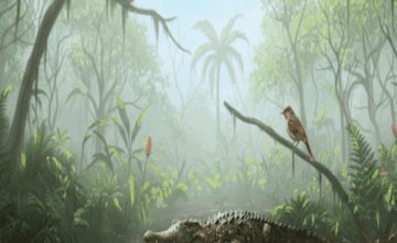 8f95719dcb3eba8a7728afc93bb8cfe3