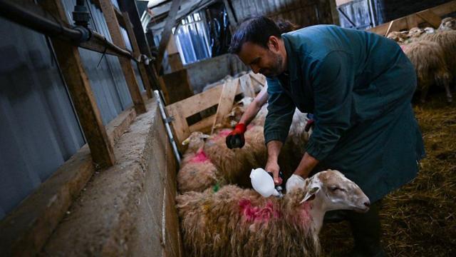 16fb6a15d1180cbfce231bcbc89fe41a