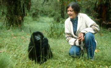 3cb8f4069cd15b93e4a32c3fa099e319