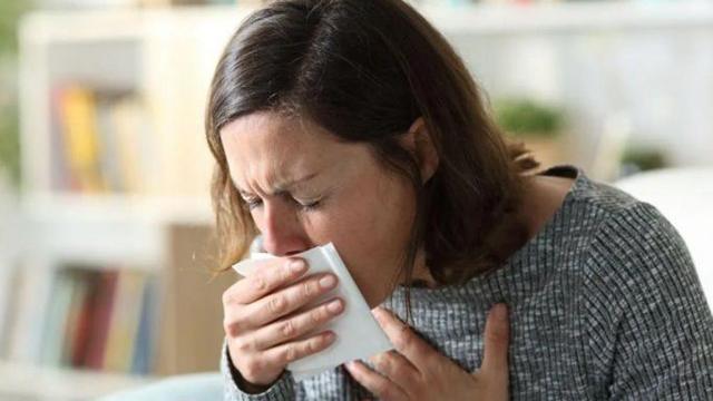 44dd852ecd36aeb4be0ca6a7e6d84c53