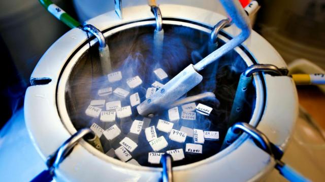 4d95078528e885ae5225bc8d3c1dd971