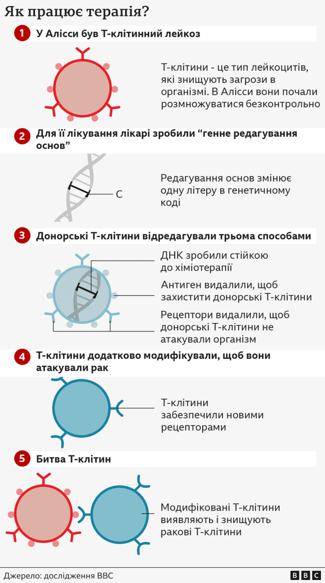 «Я думал, что умру». Как революционно и этот метод победил неизлечимый лейкоз 4 53e70884bb909727df439e4f230f7182
