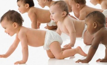 5a15b41894e11f8e4ab81082eb733677