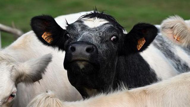 678758d7cbf276bdee3a117c494c30ec