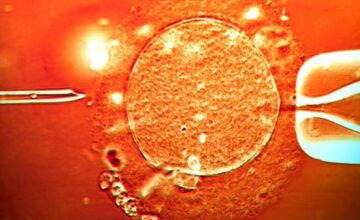 c722659c732816594b1d0da643378451