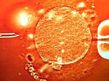 Спорт 63 c722659c732816594b1d0da643378451