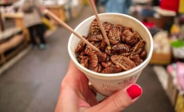 13bfa3952a7eb35d9230e2d8434997cd