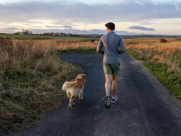 2a69f8159bba78d0b7d22517f8243d53