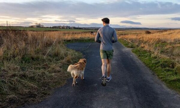 2a69f8159bba78d0b7d22517f8243d53