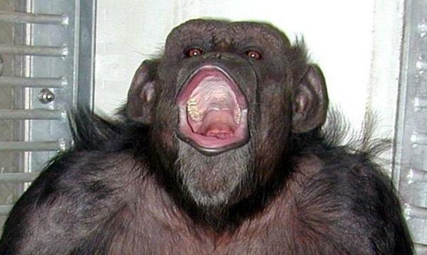 77a95b0942c9662598bf9ddfaa6bab62