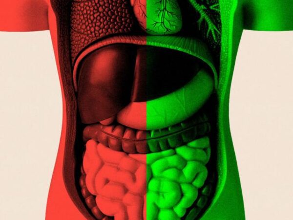 d73e62fce00abfe940ce8d1525f26146