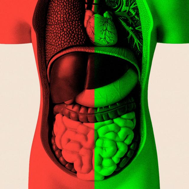 d73e62fce00abfe940ce8d1525f26146