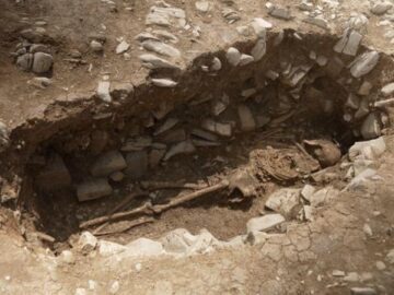 e2f6b7aff70ff253ffbcd3147deba29d