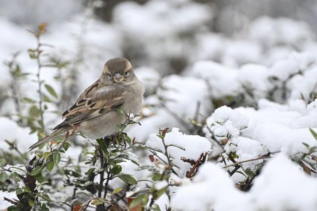 fa164ccad551ddc59db5ff3a1aea7707