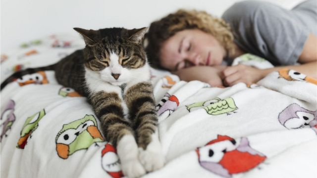 e45281757cd3f5bb5b397eaba69c3cab