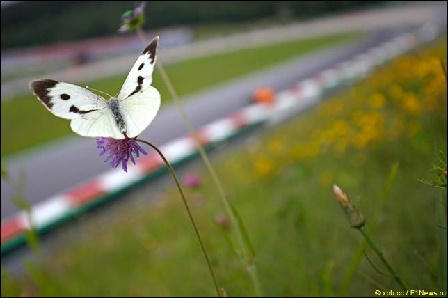 43ae4c19b74affdcb6b1050633751b1c