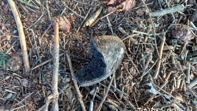 614e0700714949cf6f95049c869daaf8