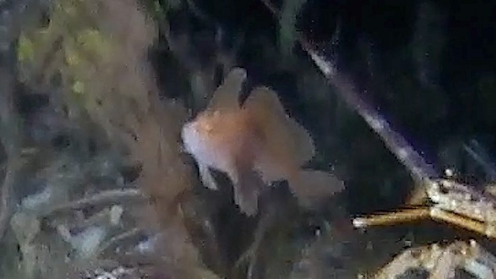 20d63d57046db7e1929826333c308625