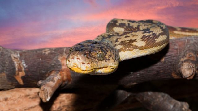 f58242a32268b412f2255ee09e290a40