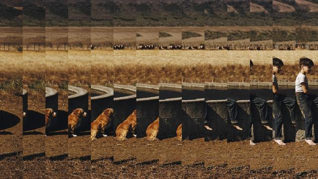 71b6b17f694d459eb0d9e80a7ec85b05