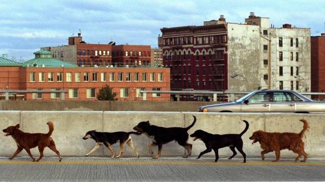 a88a1e81376eae800957d9faea488622