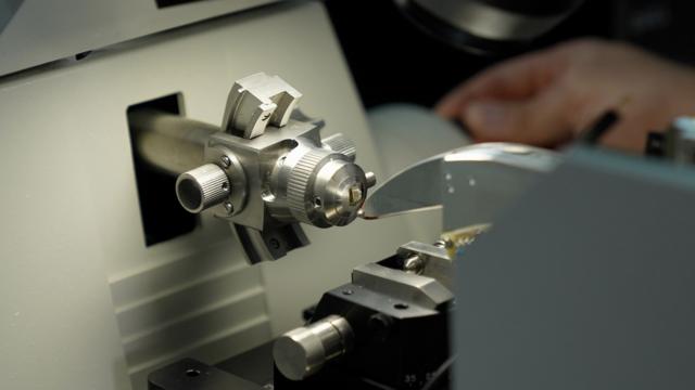 Ученые совершили прорыв в изучении мозга мухи. Он поможет понять мышление человека 1 6a98e7c4f67a38604b5a30cca92c5b5c