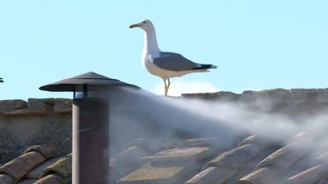 2f23f7f5cbd6f894e9abe50d61cec4b5