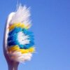 Ваша зубная щетка полна бактерий – что с этим делать? 5 30a7dde748163a80f5d51759349713bd