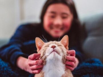 5d9d23782b900e73f6fb4e77261f1341