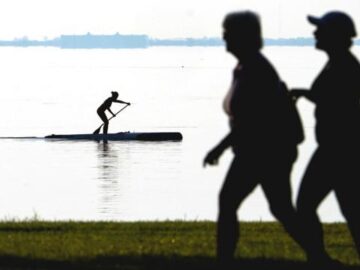 83e27f2b95ee01a31b04c190c9b3a18c