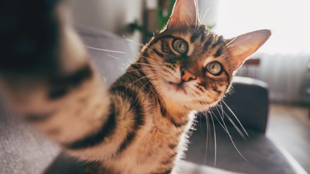 daf21450ab33473c6e6c4783b66d66da